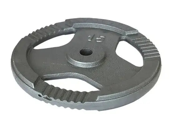Disco Ferro Fundido Fitness para Halteres com Punho 15 kg