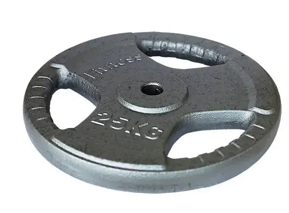 Disco de Ferro Fitness para Pesos com Punho 25 kg