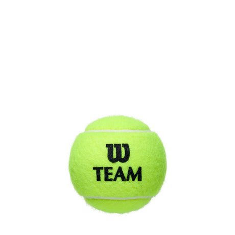 Pelotas Tenis Wilson Team Practice 1 Bote de 4 pelotas