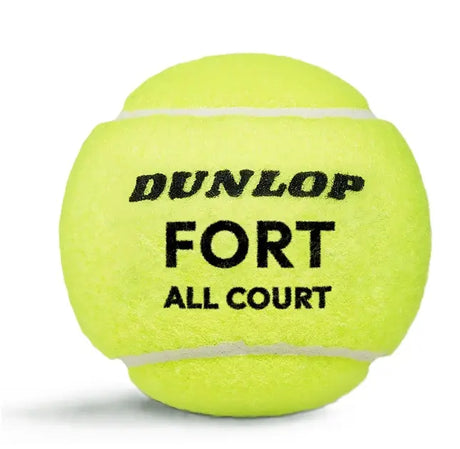 Pelotas Tenis Dunlop FORT ALL COURT B4 1 Bote de 4 pelotas