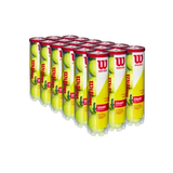Pelotas Tenis Wilson Championship Extra Duty 18 Botes de 4 Pelotas