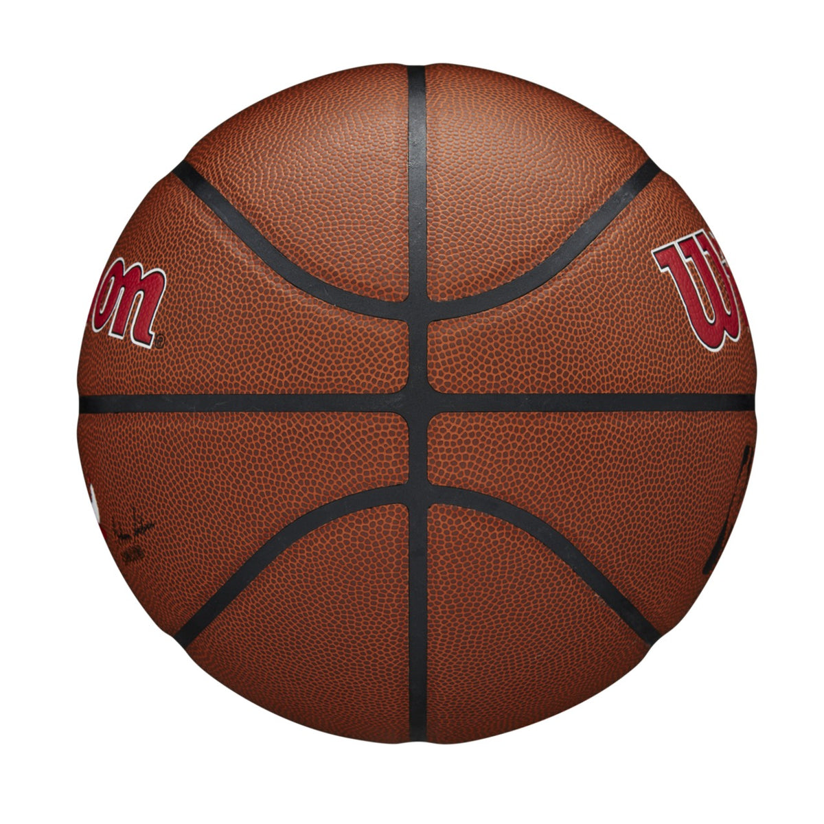 Wilson NBA Team Alliance Chicago Bulls Basketball Size 7