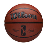 Wilson NBA Authentic Chicago City Basketball Size 7