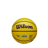 Balón Baloncesto Wilson NBA Player Icon Mini Lebron James Talla 3
