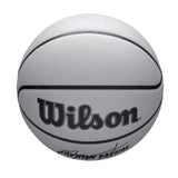 Wilson NBA Player Icon Ultraviolet Jayson Tatum Basketball Size 7