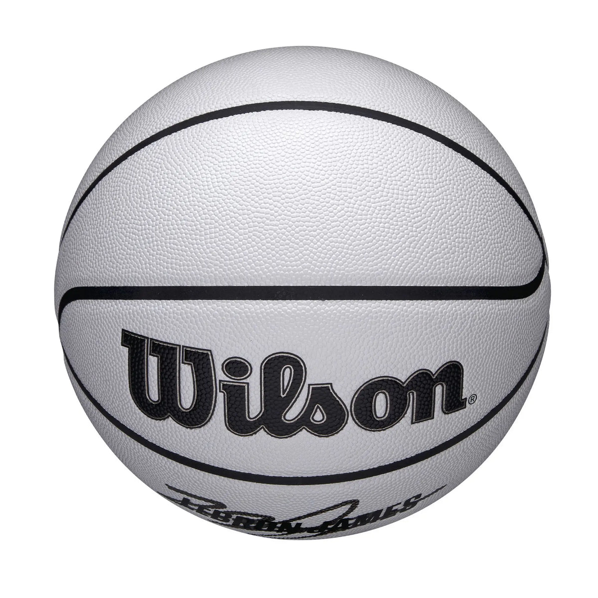 Wilson NBA Player Icon Ultraviolet Lebron James Size 7 Basketball