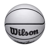 Wilson NBA Player Icon Ultraviolet Lebron James Size 7 Basketball