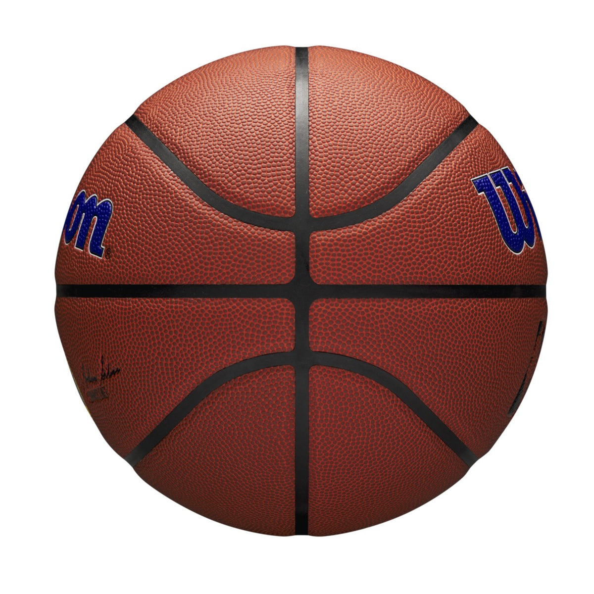 Wilson NBA Team Alliance Golden State Warriors Size 7 Basketball