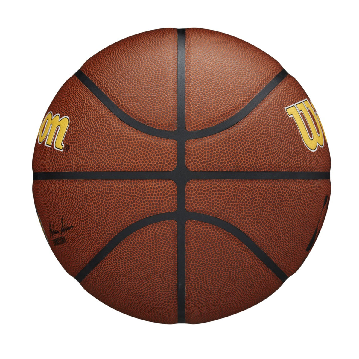 Balón Baloncesto Wilson NBA Team Alliance Indiana Pacers Talla 7
