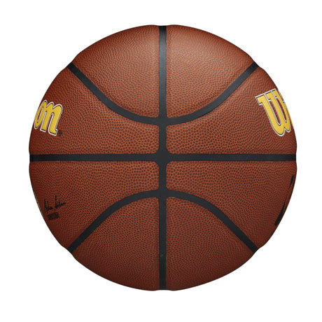 Wilson NBA Team Alliance Indiana Pacers Basketball Size 7