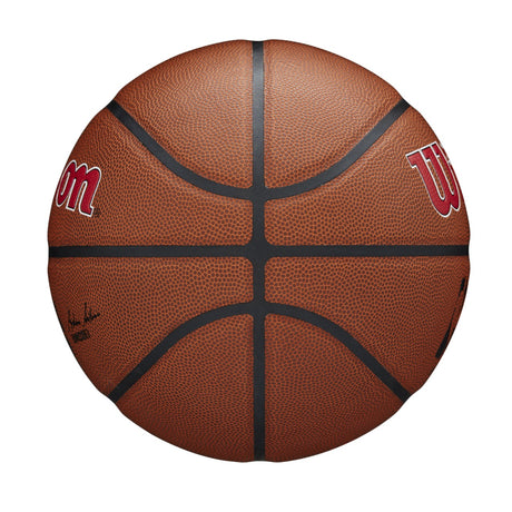 Wilson NBA Team Alliance Toronto Raptors Basketball Size 7