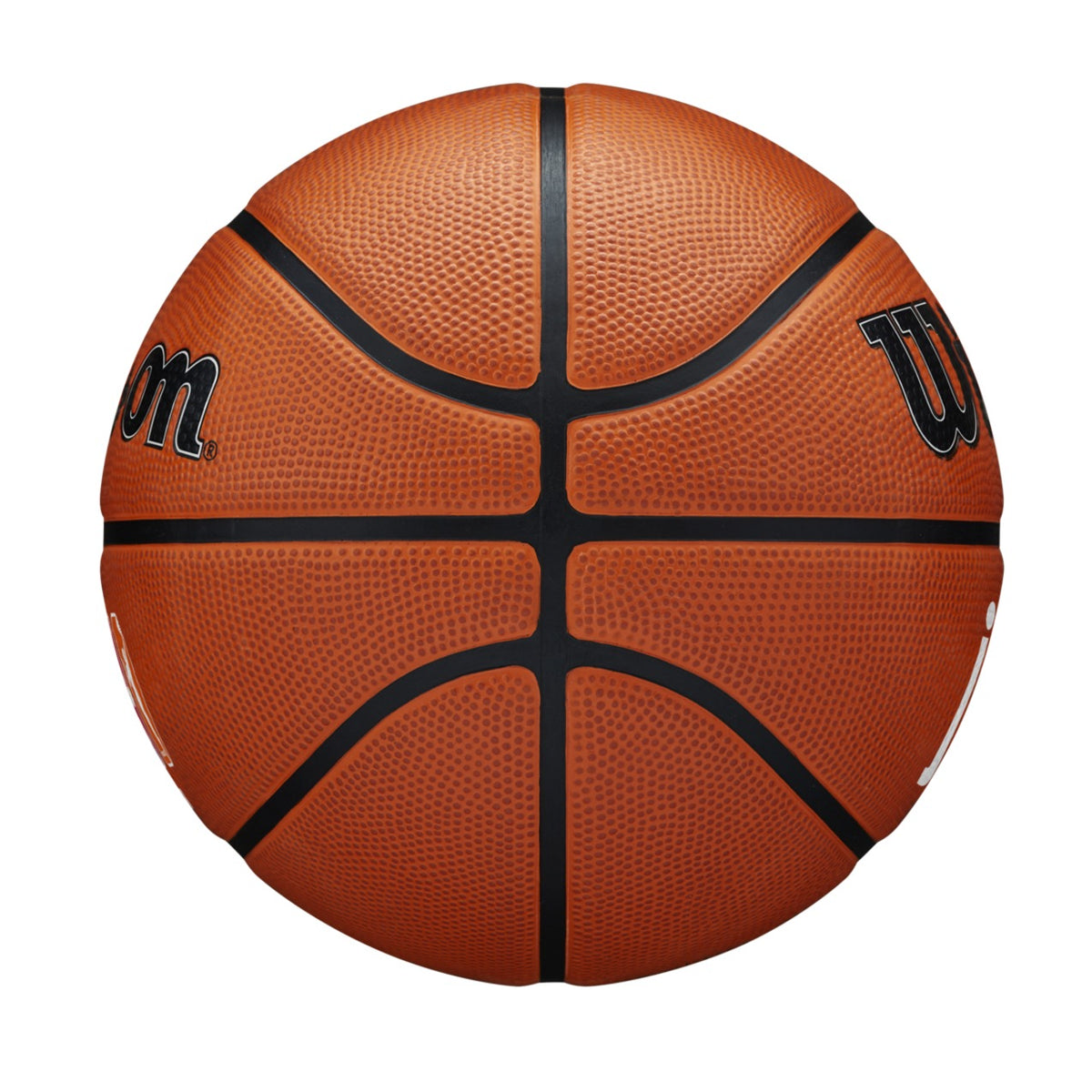 Wilson NBA x WNBA JR Authentic Outdoor Basketball