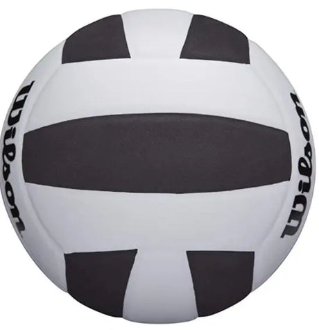 Balón Voleibol Wilson Pro Tour Talla 5 (F)
