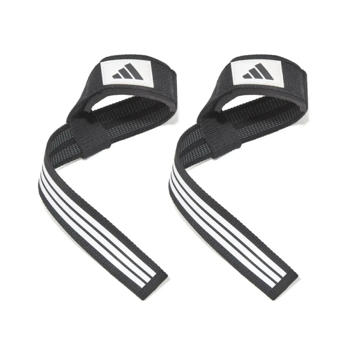 Correas de Levantamiento adidas Straps Negro