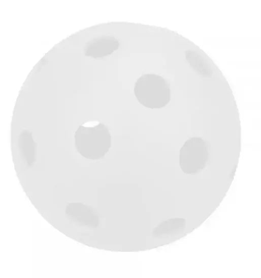 White Pickleball School ball