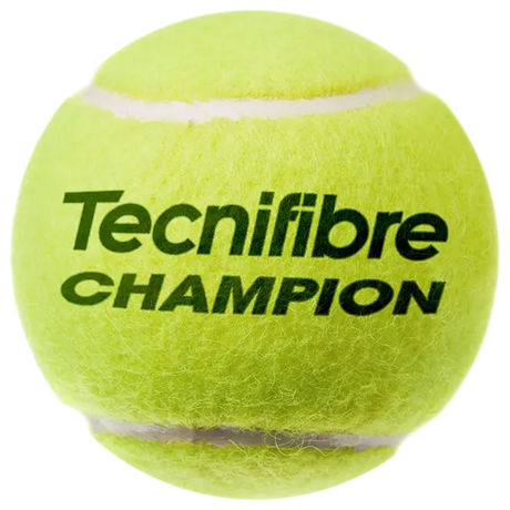 Pelotas Tenis Tecnifibre Champion B4 1 Botes de 4