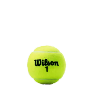 Pelotas Tenis Wilson Championship Extra Duty B3 Champ 3u