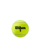 Pelotas Tenis Wilson Roland Garros All Court 18 Botes 4