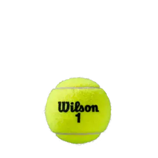 Pelotas Tenis Wilson Roland Garros All Court B4 1 Botes 4