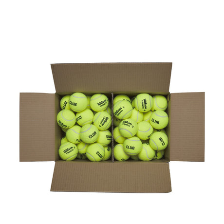 Pelotas Tenis Wilson Triniti Club Caja 72 Pelotas