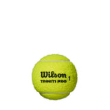 Pelotas Tenis Wilson Triniti Pro B3 3 Pelotas