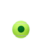 Bolas de Ténis Wilson Principiante Ponto Verde 4 bolas