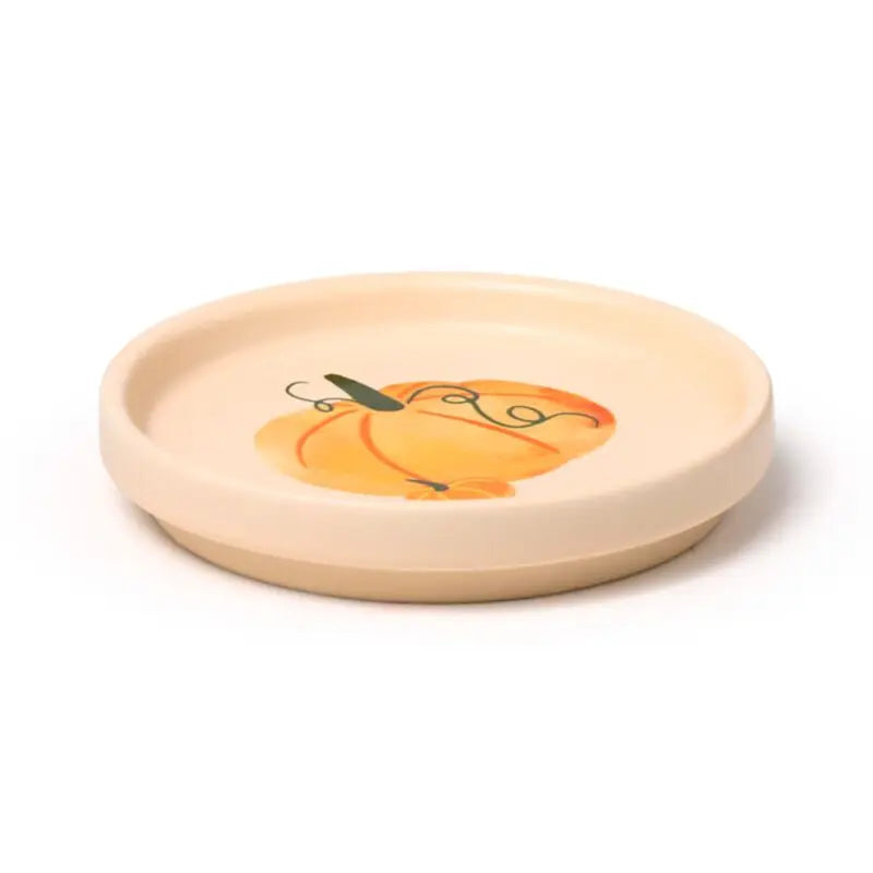 Taza de Porcelana y Posavasos Autumn Harvest Otoño